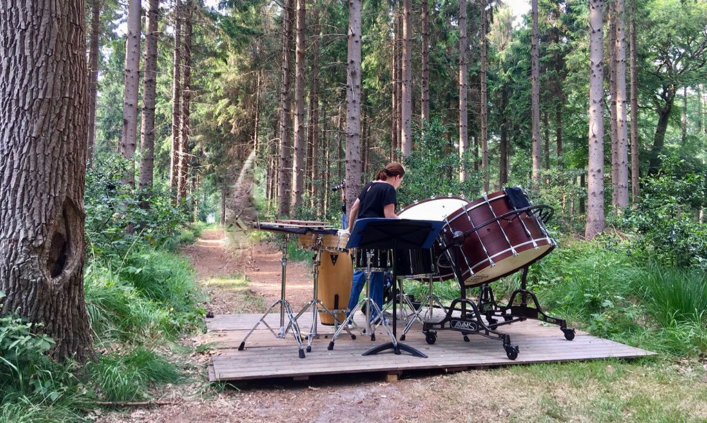 tatiana koleva marimba percussion
